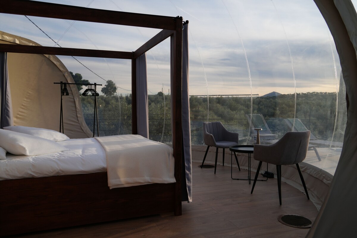 Panoramic Suites 2