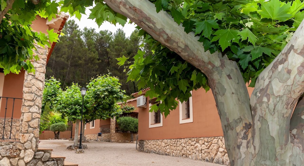 Casa rural nº6 5